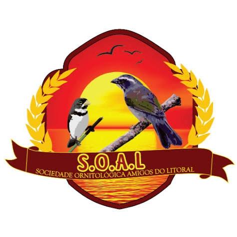 SOAL- SC