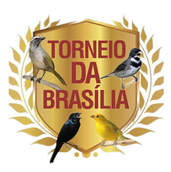 Torneio da Brasilia