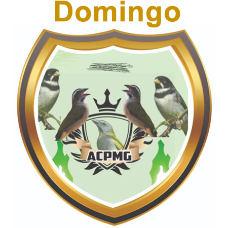 ACPMG - MAGÉ - DOMINGO