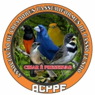 ACPPF - RS