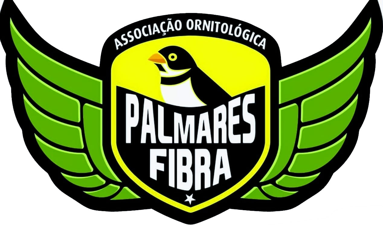 A.O.P.F - Palmares Fibra