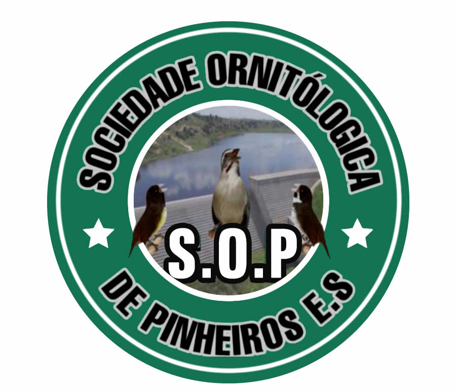 S.O.P - ES