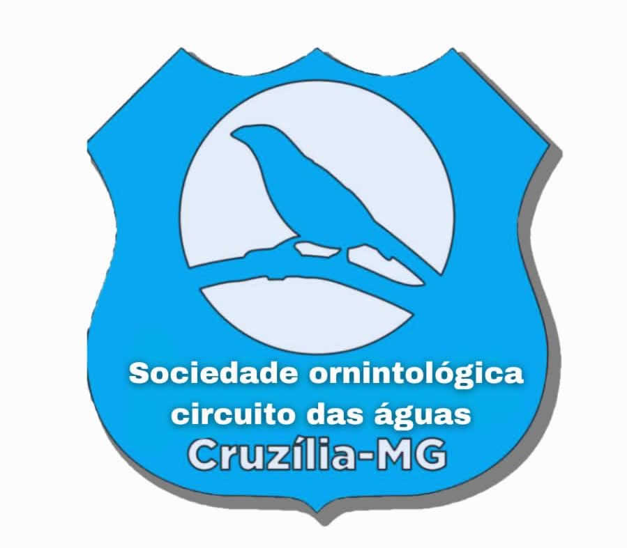 SOCA - Cruzília - MG