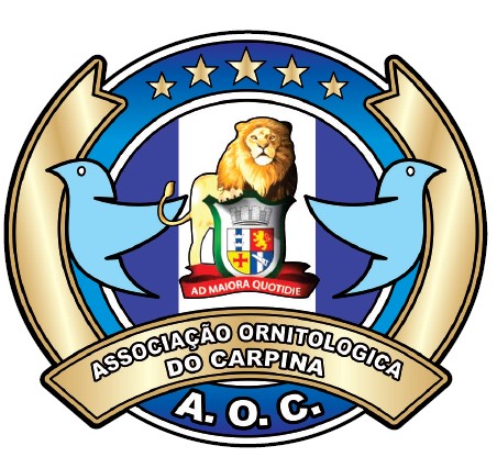 AOC - PE