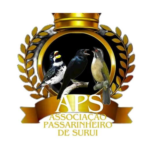 APS - SURUI - RJ