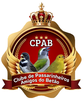 Torneio  do Betao - SABADO