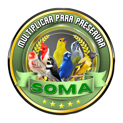 SOMA - RS